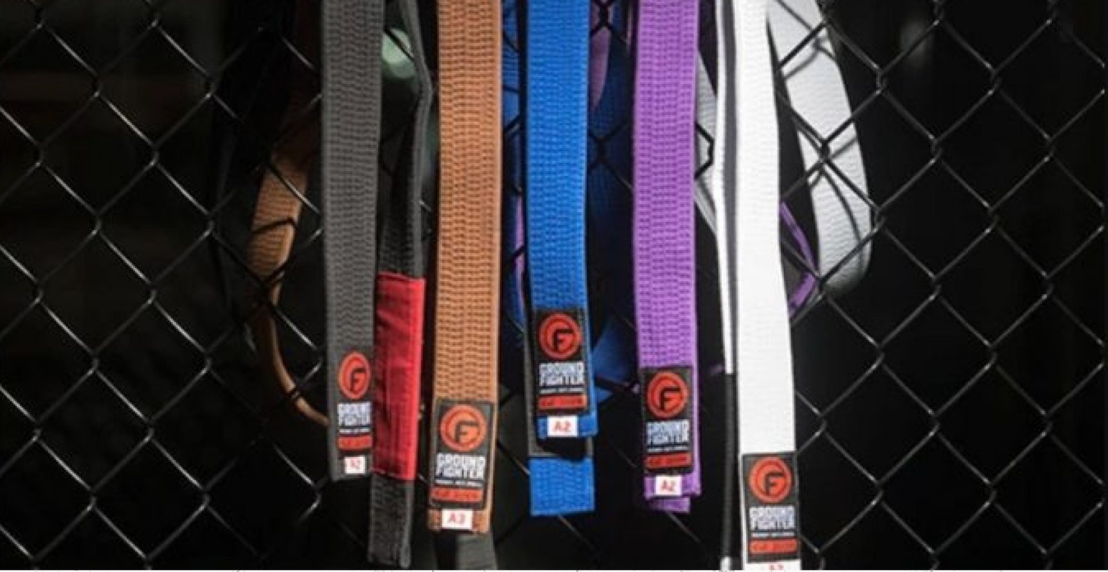 BJJ Belt Ranks