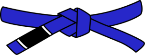 Blue Belt – Building the Base