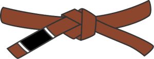 Brown Belt – Preparing for Mastery