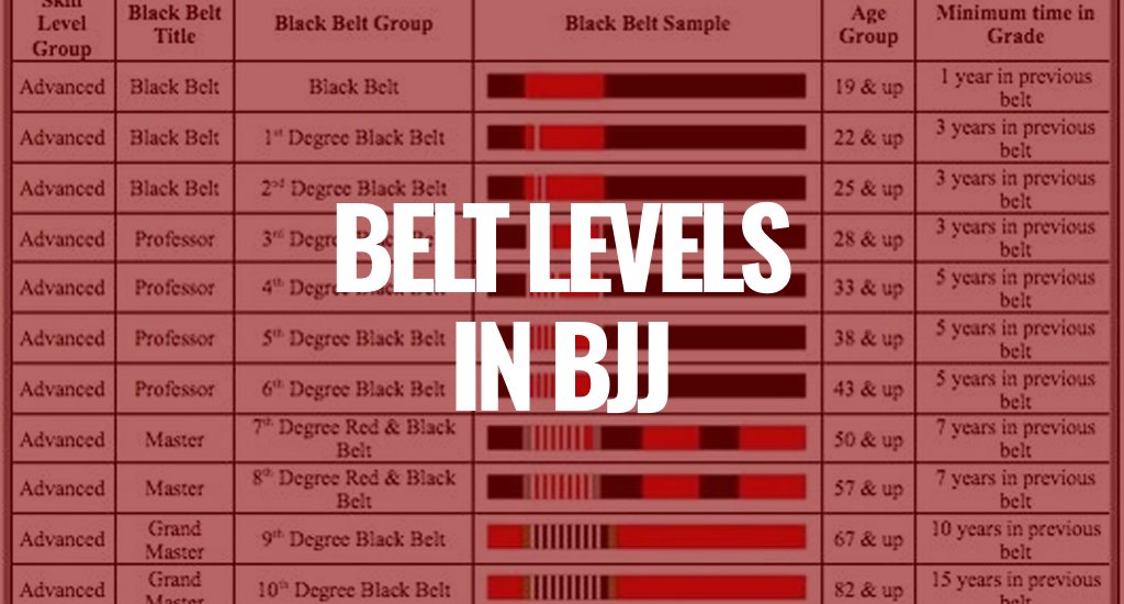 BJJ Belt Levels