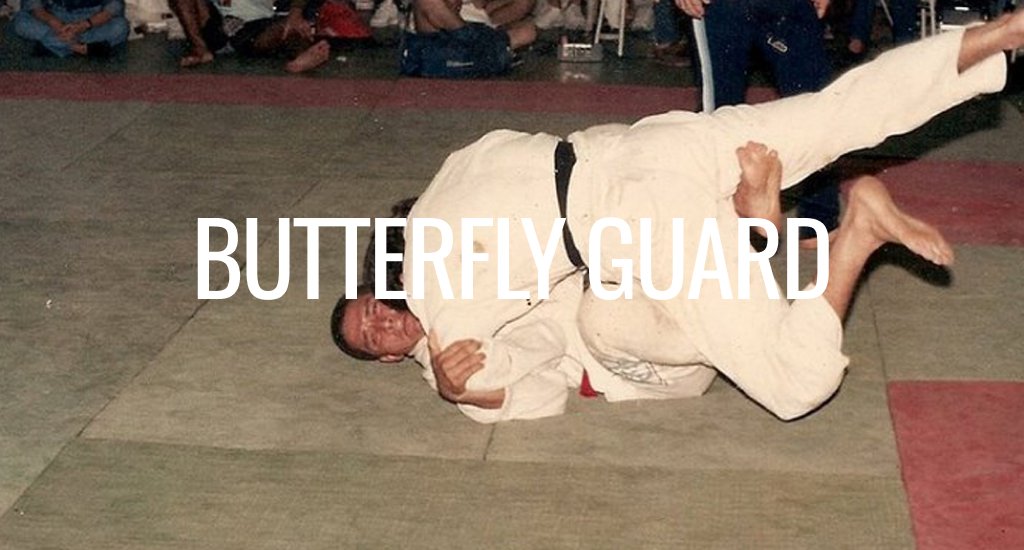 Butterfly Guard
