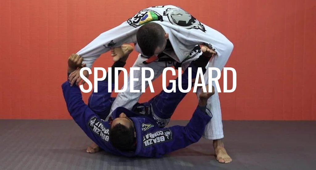 Spider Guard