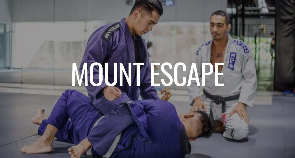 Mount Escape bjj
